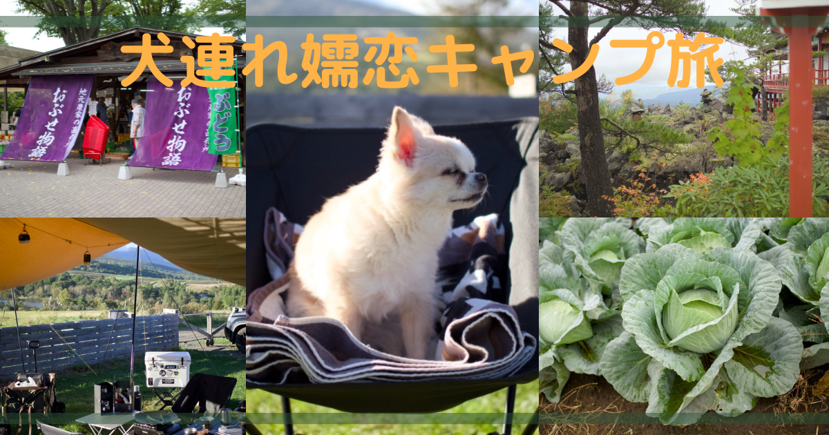 小布施の旬フルーツと嬬恋キャンプで味わう高原の夜